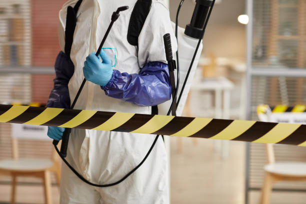Professional Sewage Cleanup technician working in Great Neck, NY